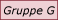 Gruppe G