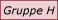 Gruppe H